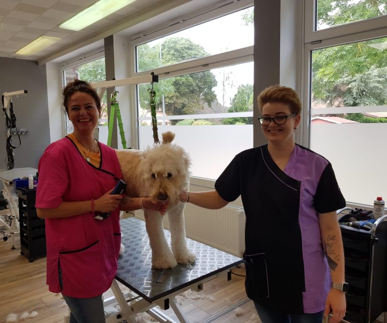 Grundkurs Hundefriseurausbildung Zwei Frauen im Hundesalon posieren mit einem weißen Hund auf einem Tisch.