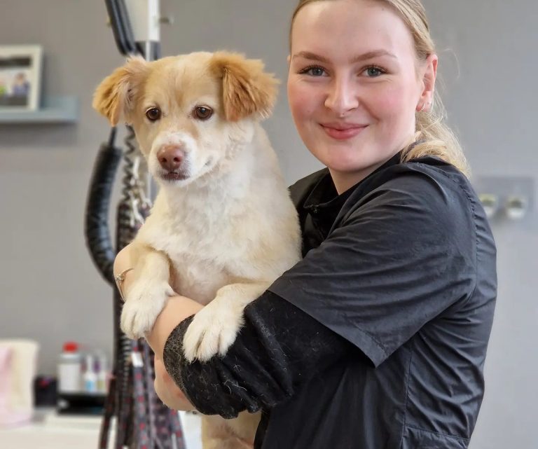 Intensivkurs Hundefriseurausbildung Frau hält einen kleinen Hund in der Arm, lächelt in einem Hundefriseursalon.